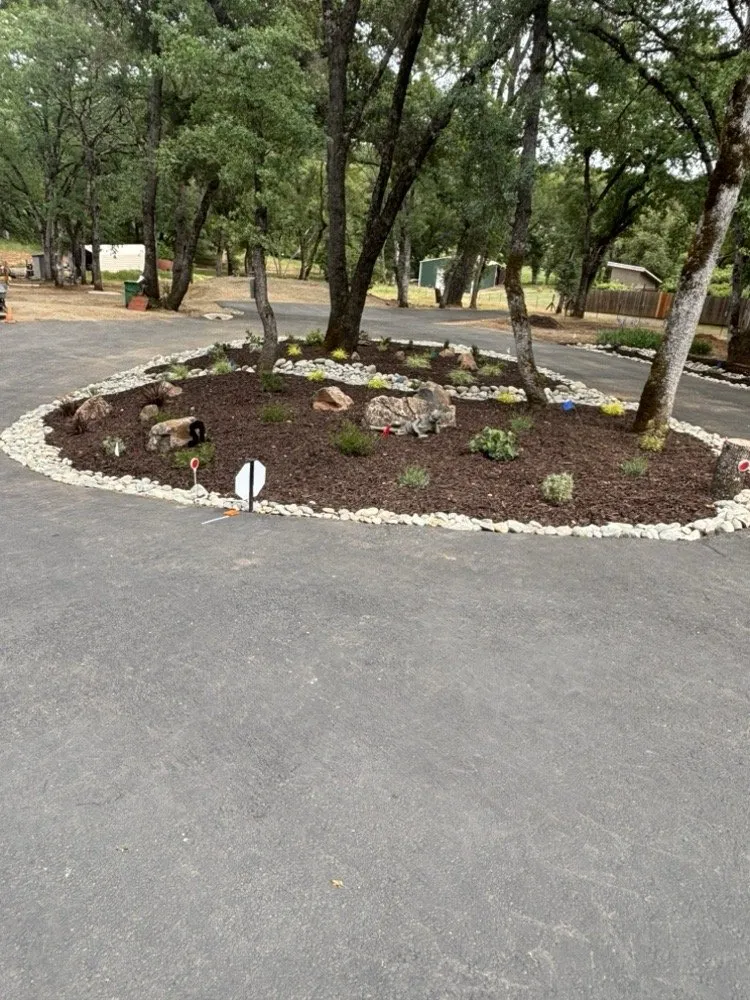 Local lawn care service in Rescue, CA - Mike's Landscaping & Hardscape