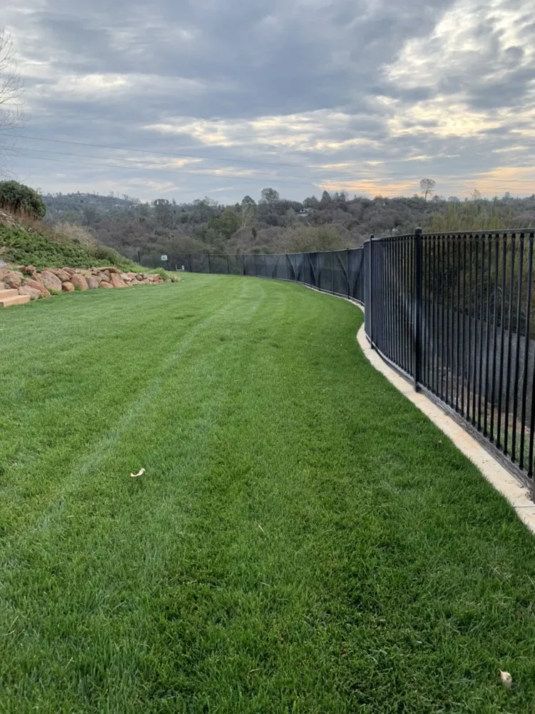 Expert outdoor landscaping near you in Rescue, CA by Mike's Landscaping & Hardscape