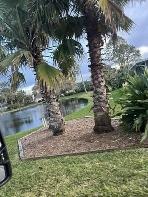 Mike’s Landscaping & Maintenance Services