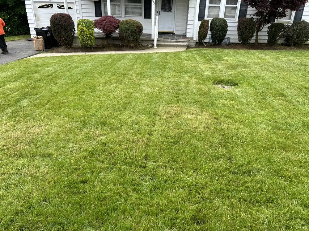 Reliable yard maintenance experts serving Clifton, NJ - Mikes Landscaping and Construction