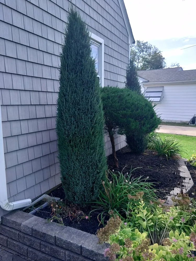 Reliable outdoor landscaping in Cape May Court House, NJ - Mike's Landscaping