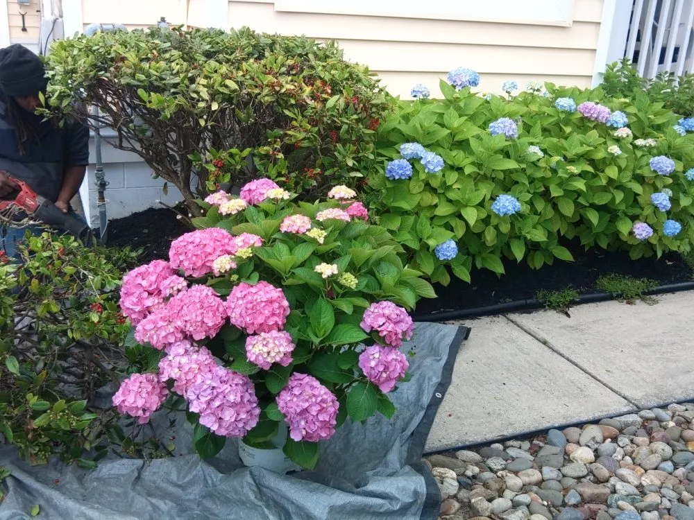Expert landscaping services in Cape May Court House, NJ - Mike's Landscaping