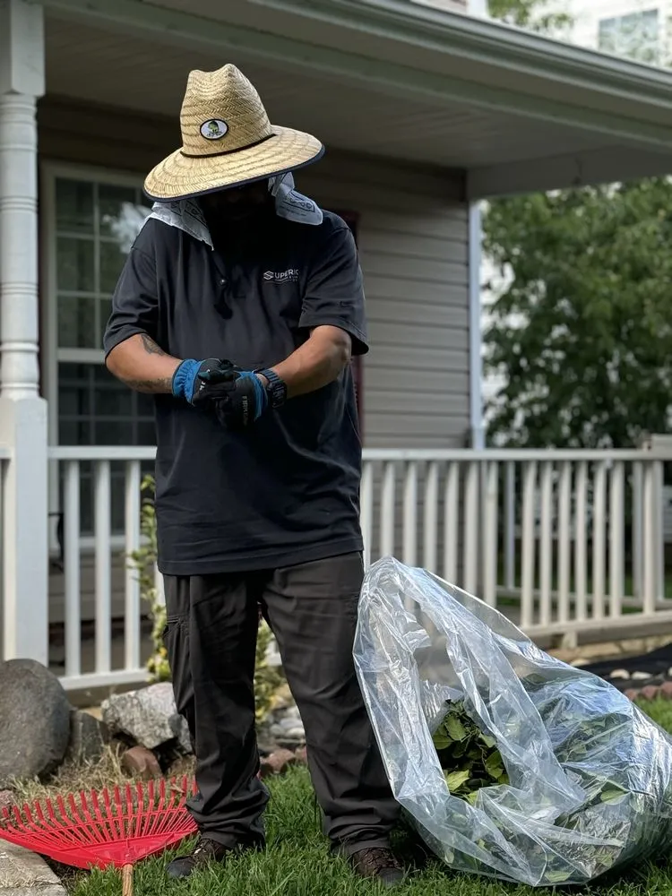 Professional landscape design in Charlotte, NC by Mike’s Landscaping