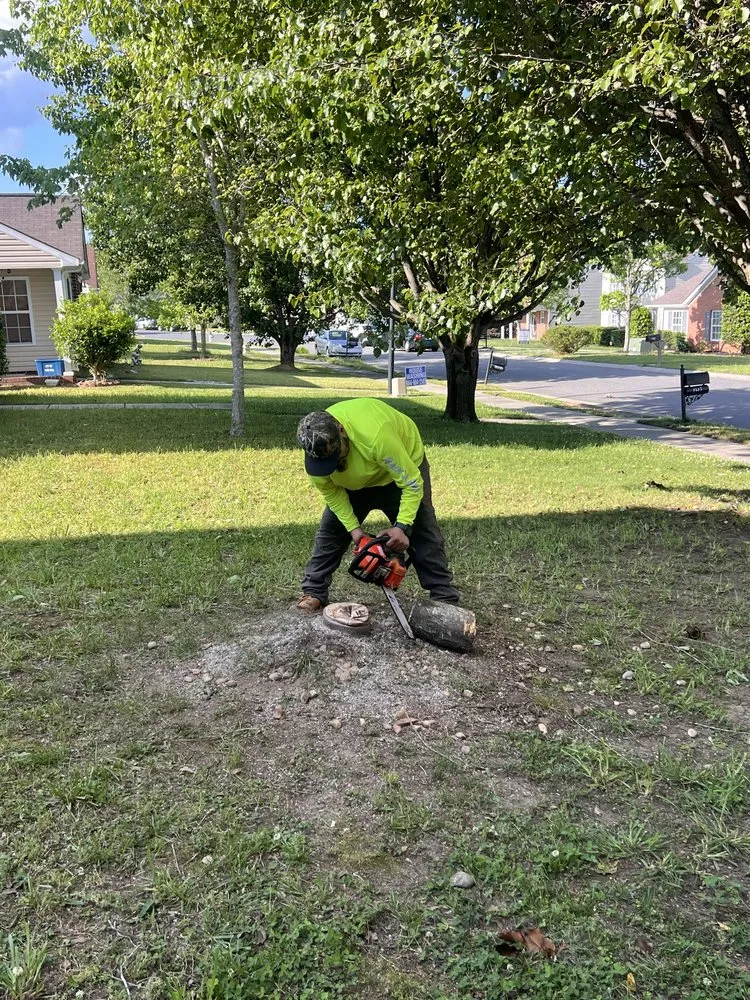 Local lawn mowing service experts serving Charlotte, NC - Mike’s Landscaping