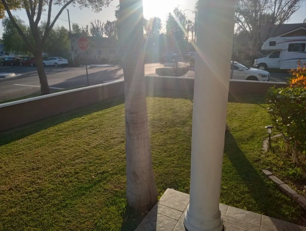 Expert residential landscaping for beautiful yards in Duarte, CA by Mikes Landscaping