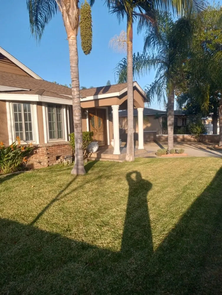 Top-rated landscape design in Duarte, CA by Mikes Landscaping