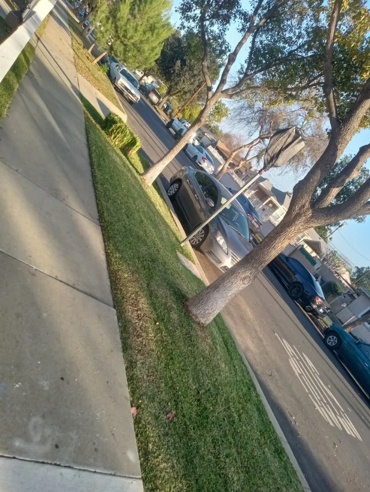 Affordable landscape design for homes in Duarte, CA by Mikes Landscaping