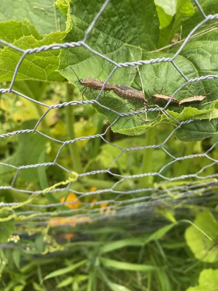 Trusted landscape design in Escanaba, MI by Mikes Landscaping