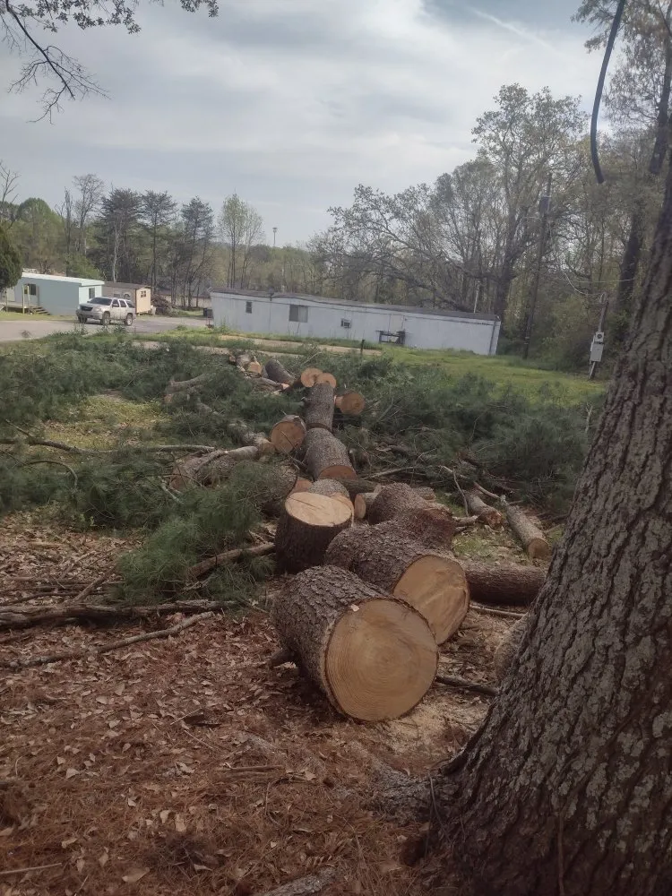 Reliable residential landscaping in Greenville, SC by Mike's Landscaping