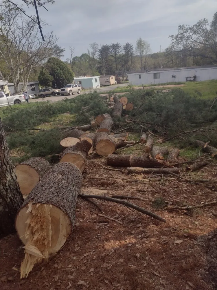 Professional landscaping services in Greenville, SC by Mike's Landscaping