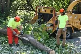 Local yard maintenance in Kent, OH by Mike’s Landscaping