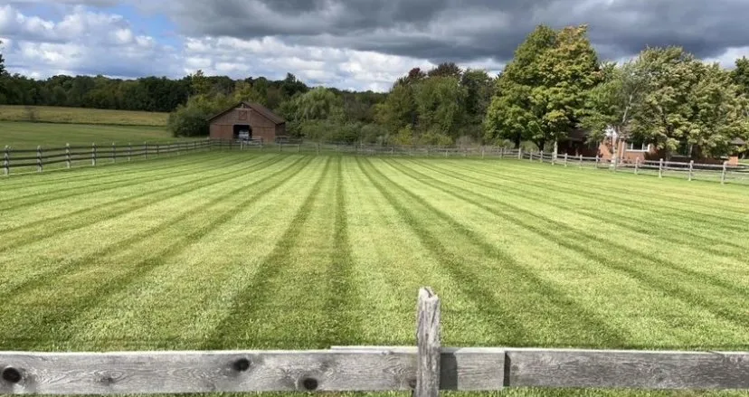 Affordable garden landscaping for homes in Kent, OH by Mike’s Landscaping