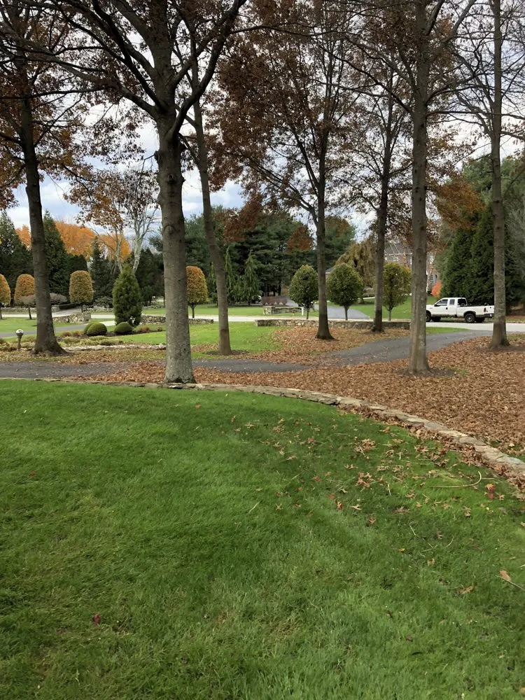 Affordable yard cleanup service with custom design across Warwick, RI - Mike's Landscaping