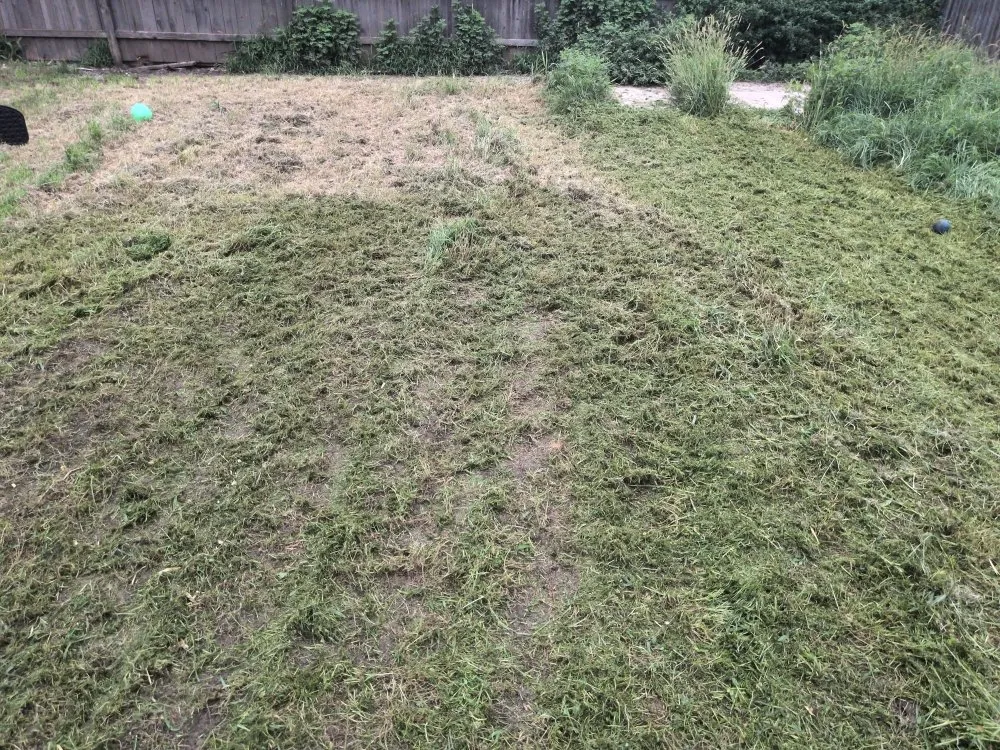 Expert outdoor landscaping in Wichita, KS - Mikes Landscaping