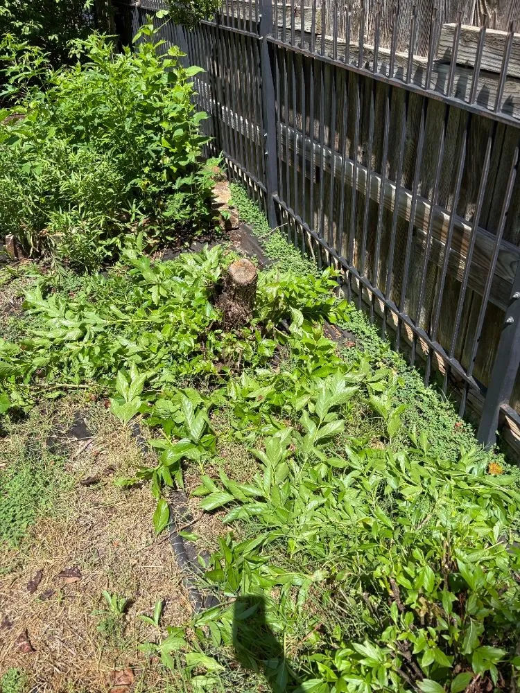 Professional landscape installation in Wichita, KS by Mikes Landscaping