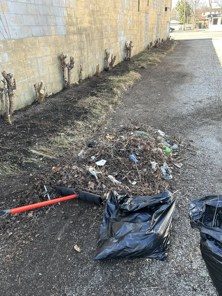 Trusted residential landscaping near you in Gary, IN by Mikes Lawn & Handyman Services