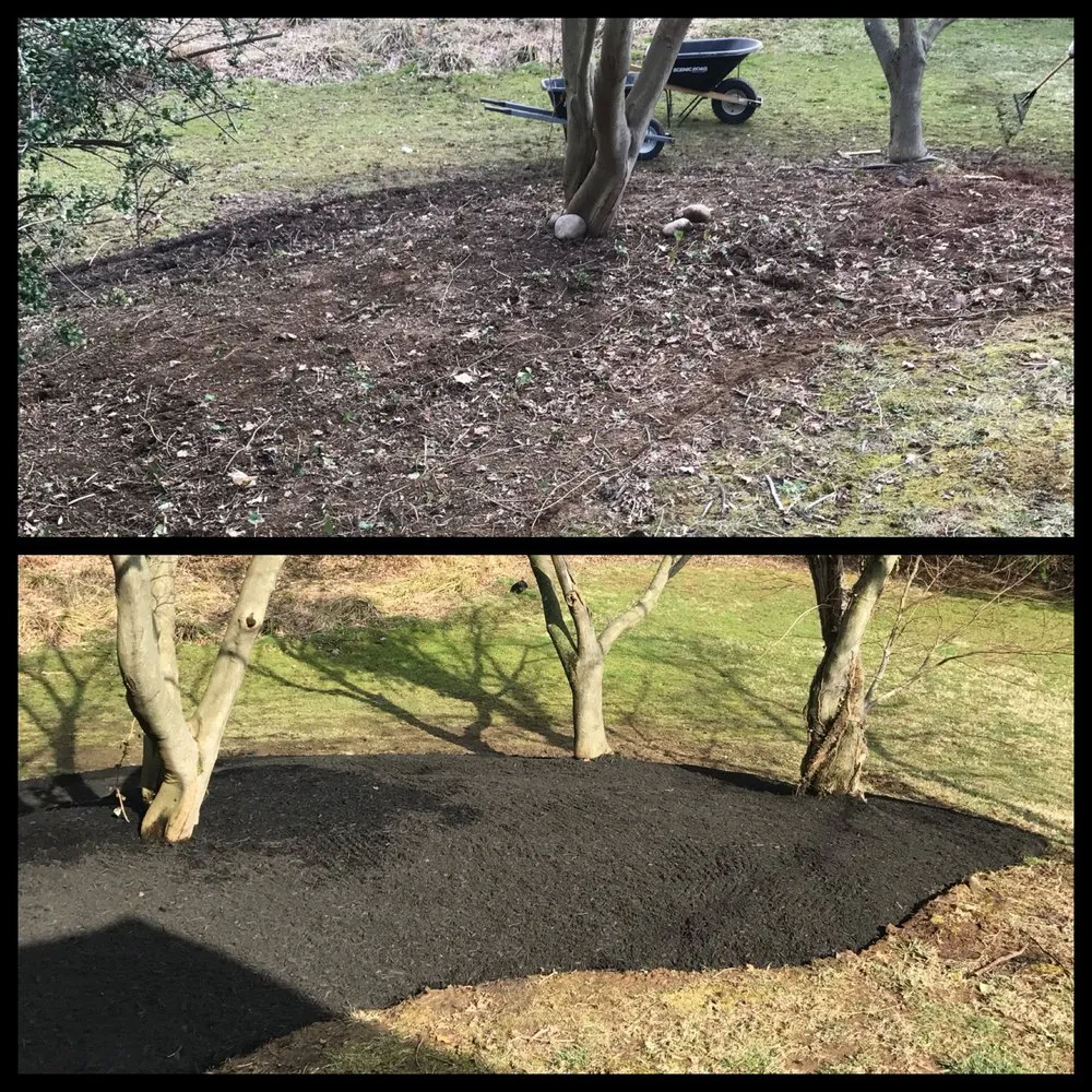 Local lawn mowing service in Chester Heights, PA by Mike's Lawn & Landscaping