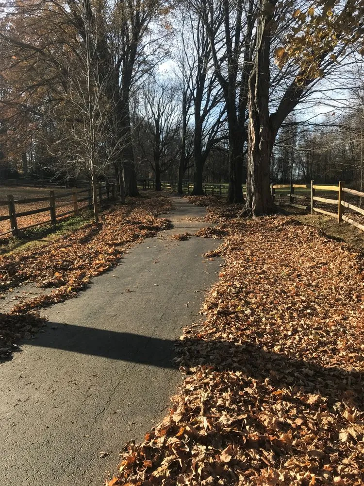 Expert residential landscaping near you in Chester Heights, PA by Mike's Lawn & Landscaping