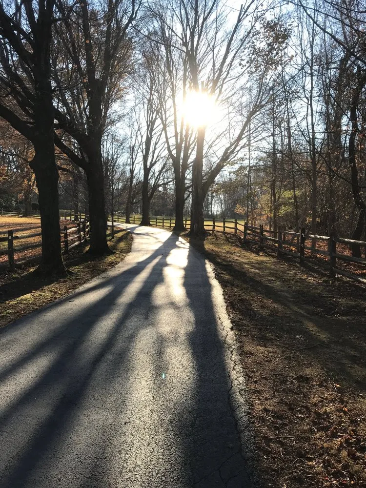 Local lawn mowing service in Chester Heights, PA by Mike's Lawn & Landscaping