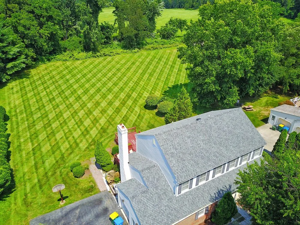 Top-rated lawn mowing service experts serving Chester Heights, PA - Mike's Lawn & Landscaping