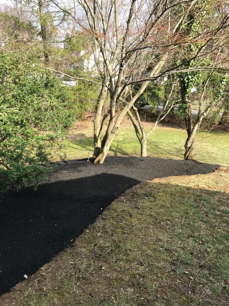 Trusted yard cleanup service experts serving Chester Heights, PA - Mike's Lawn & Landscaping