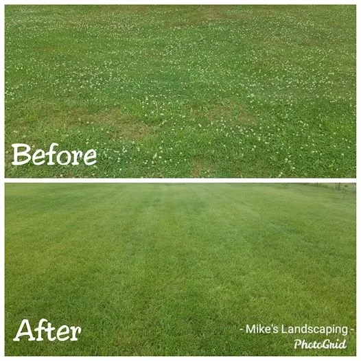 Affordable lawn care service experts serving Midland, OH - Mike's Lawn & Landscaping