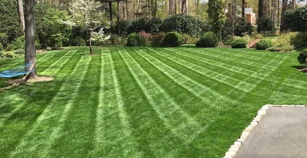 Mike's Lawn & Landscaping Logo