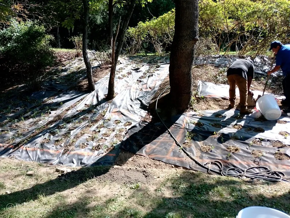 Affordable landscape design experts serving Bangor, PA - Mike's Lawn and Landscape