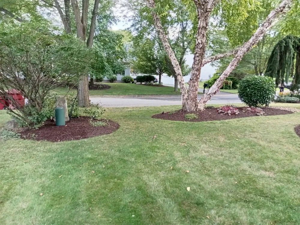 Local outdoor landscaping in Bangor, PA by Mike's Lawn and Landscape