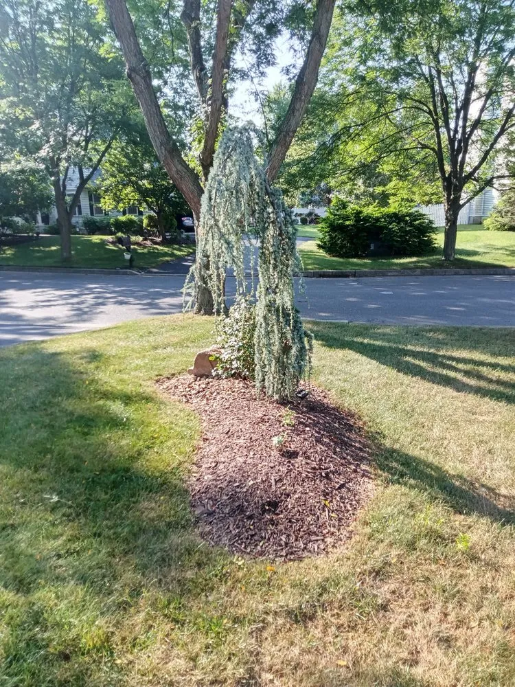 Top-rated landscape design in Bangor, PA by Mike's Lawn and Landscape