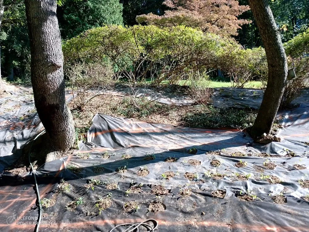 Custom lawn care service experts serving Bangor, PA - Mike's Lawn and Landscape