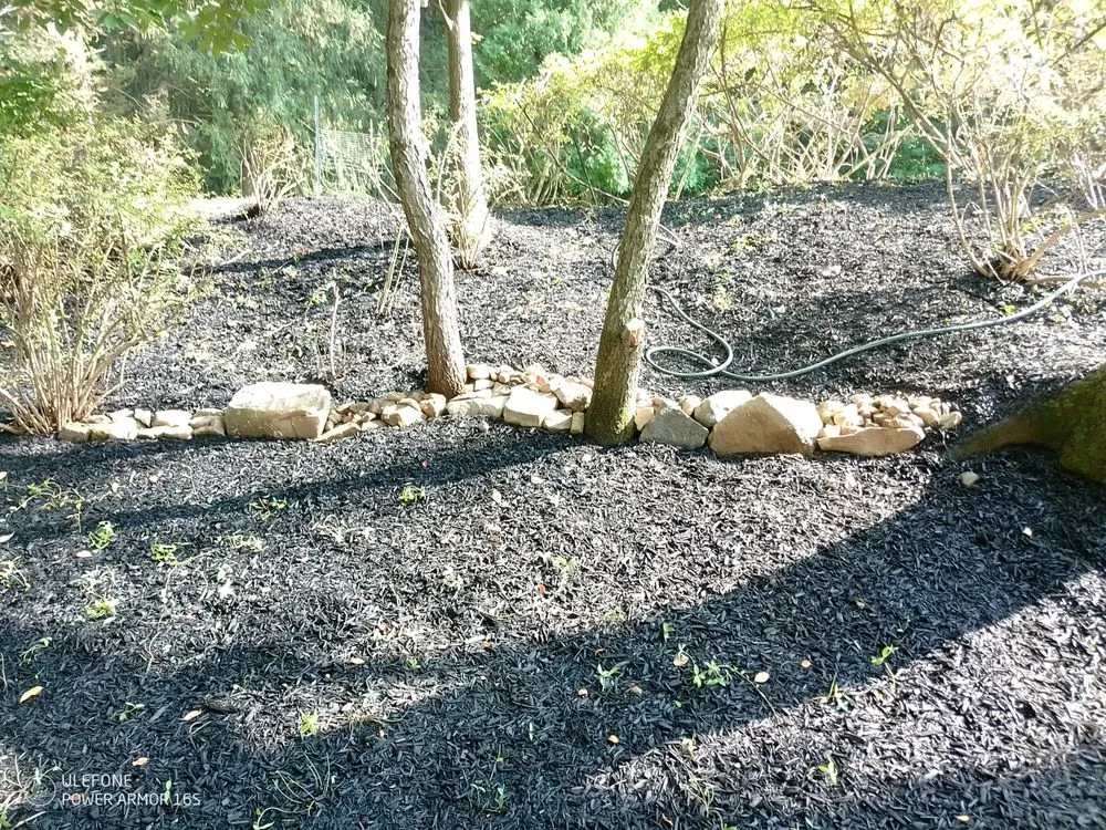 Professional residential landscaping in Bangor, PA by Mike's Lawn and Landscape