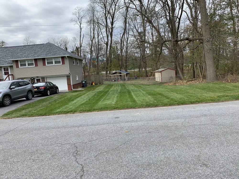 Reliable lawn care service in Amsterdam, NY by Mikes Lawn and Landscaping