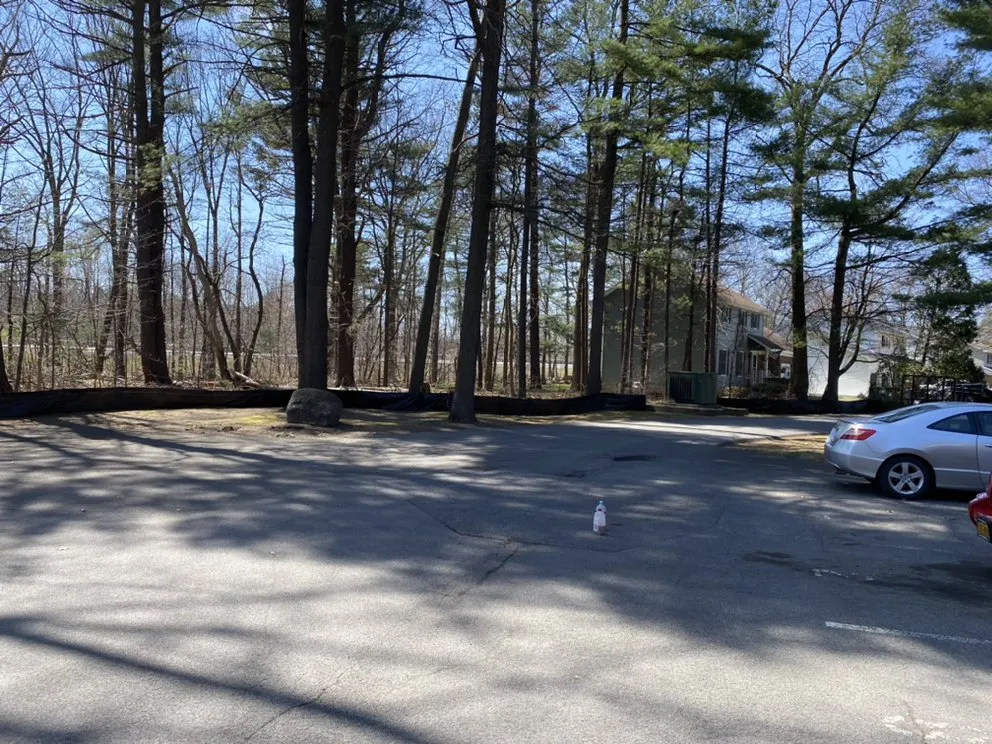 Professional yard cleanup service in Amsterdam, NY by Mikes Lawn and Landscaping