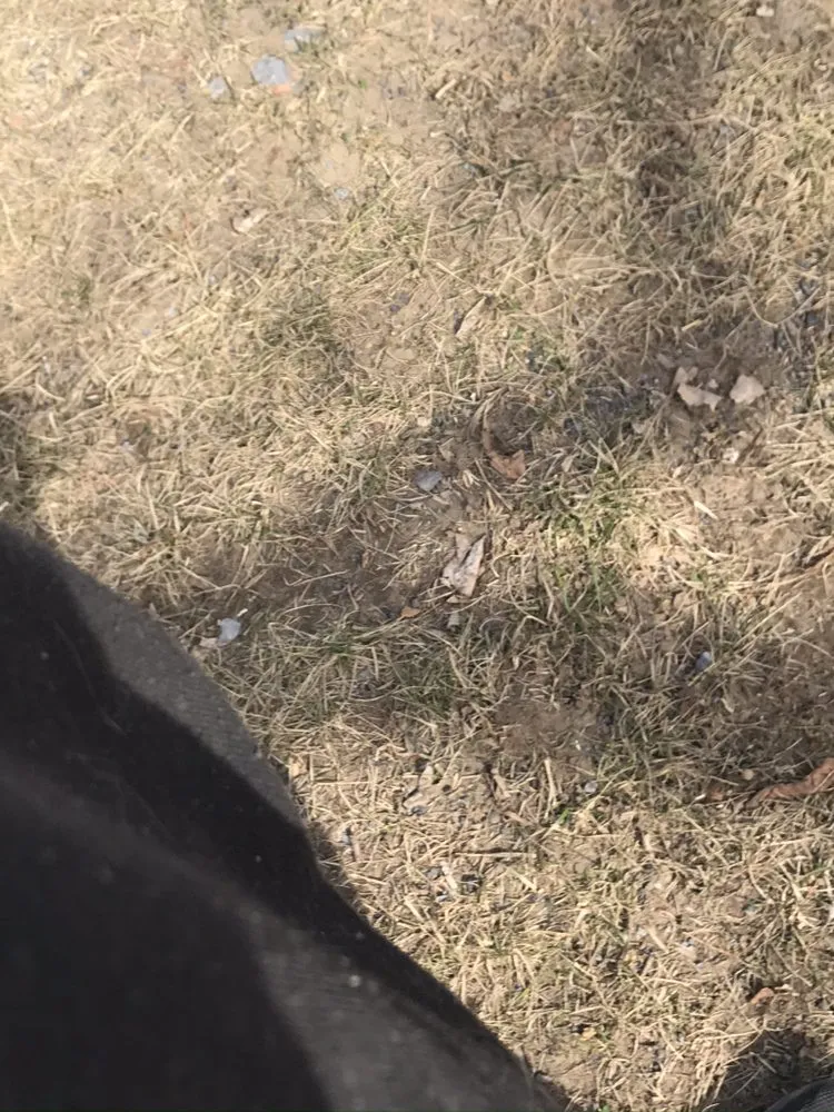 Top-rated yard maintenance experts serving Amsterdam, NY - Mikes Lawn and Landscaping