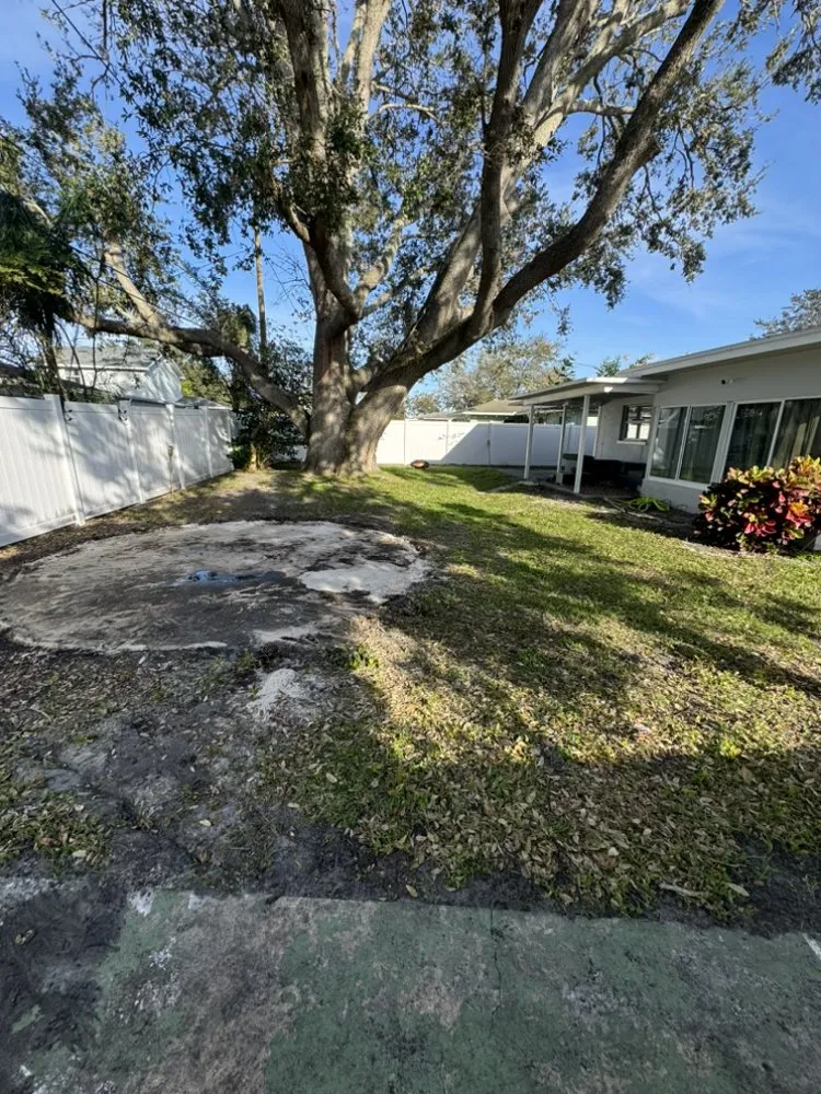 Top-rated landscape installation in Holiday, FL - Mikes Lawn and Wash