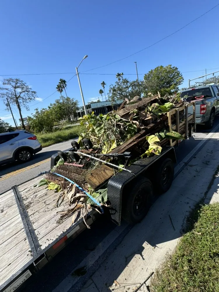 Affordable landscaping services in Holiday, FL - Mikes Lawn and Wash
