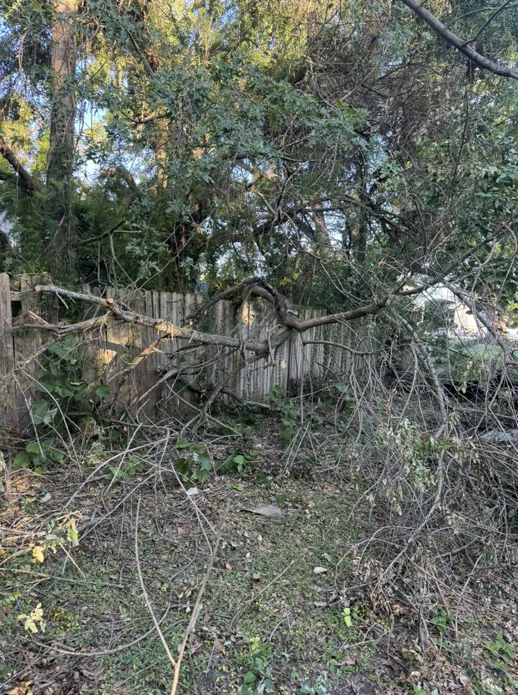 Custom yard maintenance for residential properties across Holiday, FL - Mikes Lawn and Wash