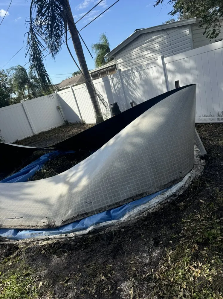 Affordable landscaping services experts serving Holiday, FL - Mikes Lawn and Wash