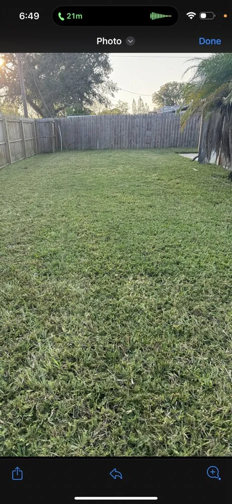 Professional landscape installation for homes across Holiday, FL - Mikes Lawn and Wash
