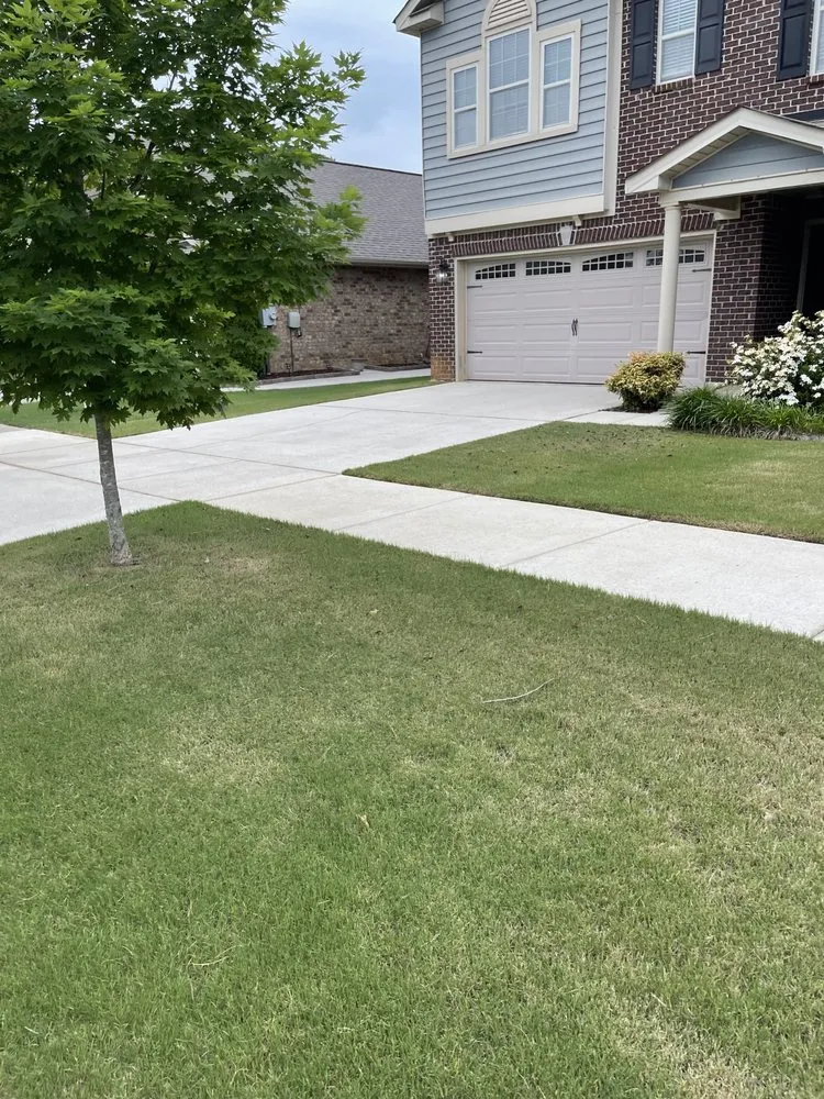 Top-rated yard cleanup service for year-round maintenance across Madison, AL - Mike's Lawn Care & Handyman Services