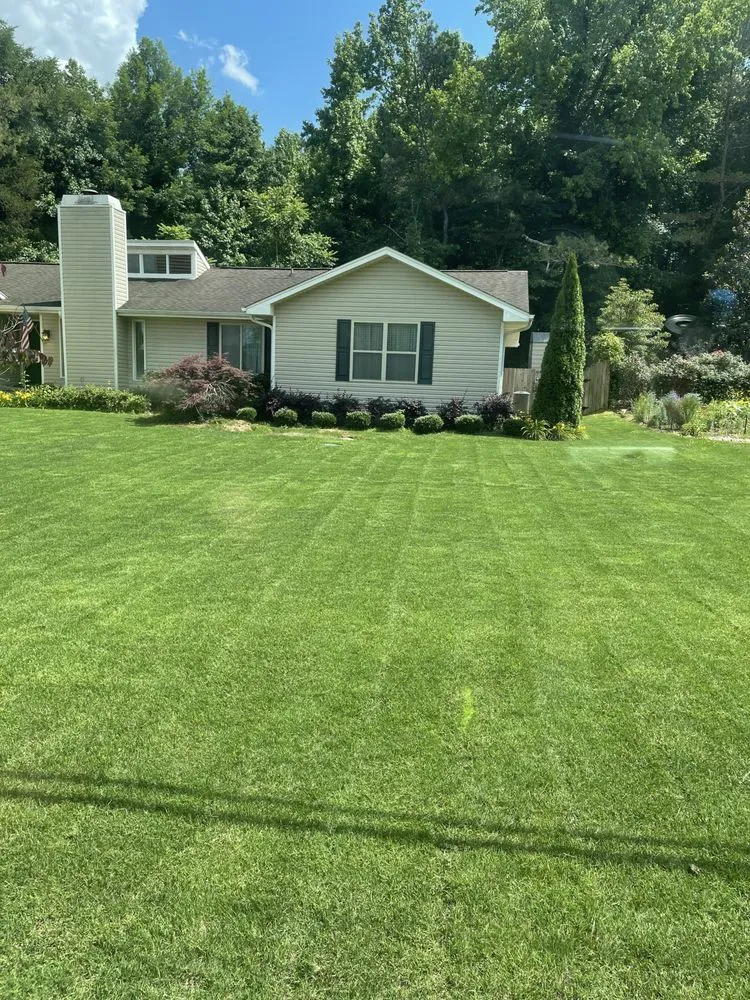 Professional residential landscaping in Madison, AL - Mike's Lawn Care & Handyman Services