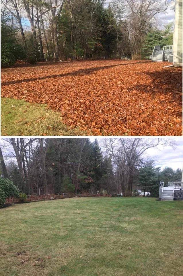 Top-rated landscape design for beautiful yards across Worcester, MA - Mike’s Lawn Care & Landscaping