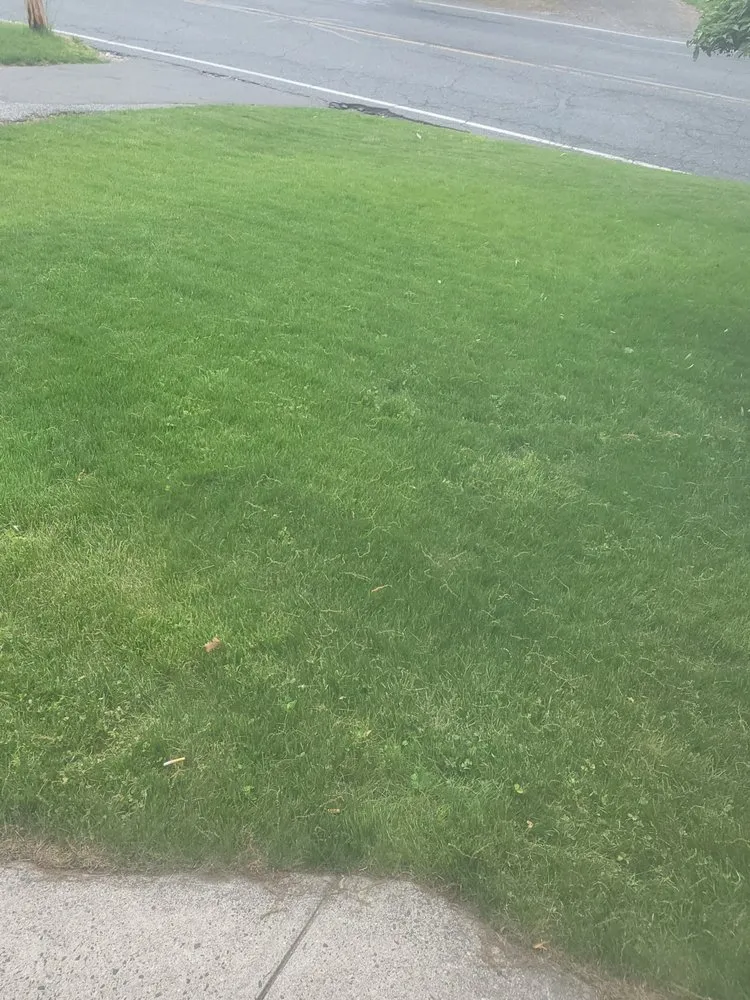 Top-rated lawn mowing service near you in Worcester, MA by Mike’s Lawn Care & Landscaping