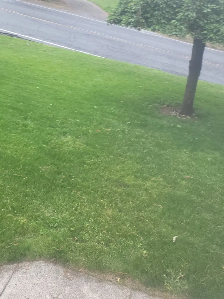 Reliable garden landscaping for year-round maintenance across Worcester, MA - Mike’s Lawn Care & Landscaping