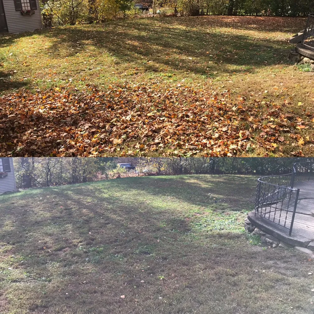 Affordable yard cleanup service experts serving Worcester, MA - Mike’s Lawn Care & Landscaping