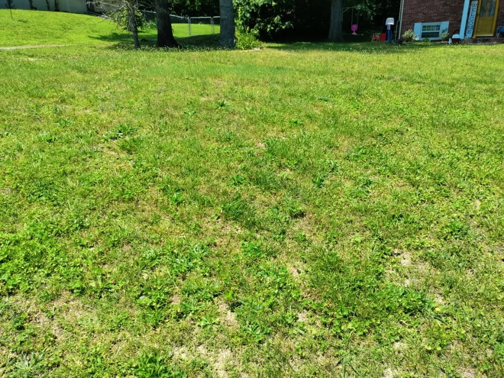 Affordable garden landscaping in Ringgold, GA by Mike's Lawn Care & Maintenance