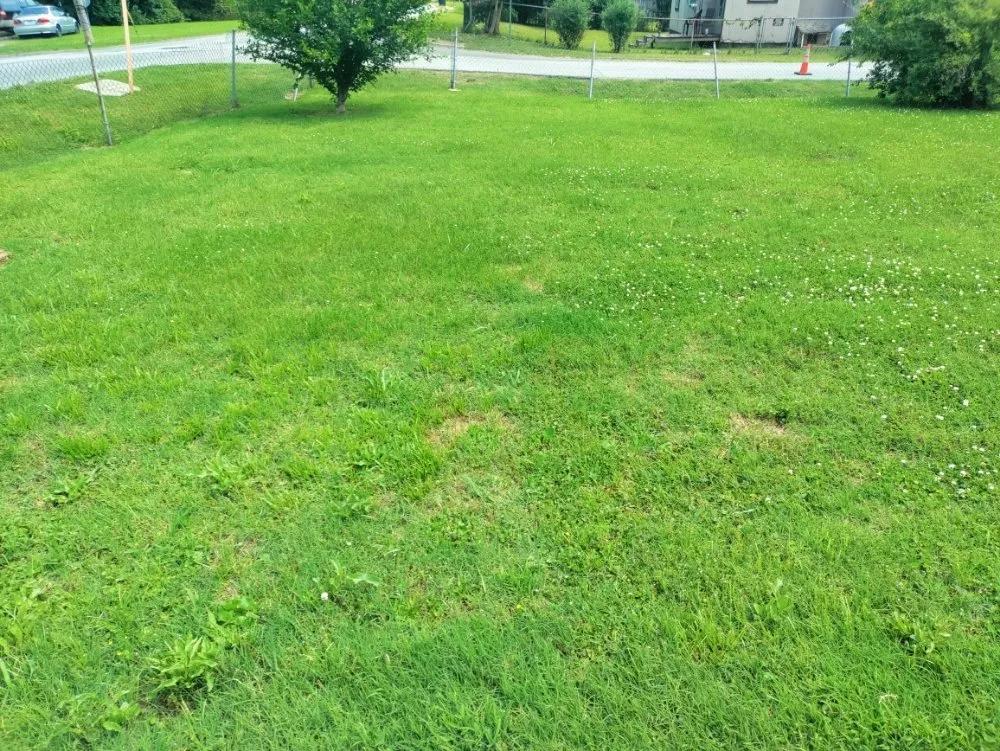 Expert landscaping services in Ringgold, GA - Mike's Lawn Care & Maintenance