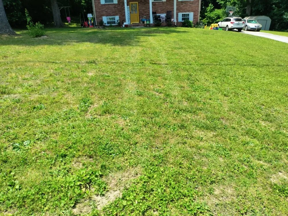 Expert outdoor landscaping experts serving Ringgold, GA - Mike's Lawn Care & Maintenance