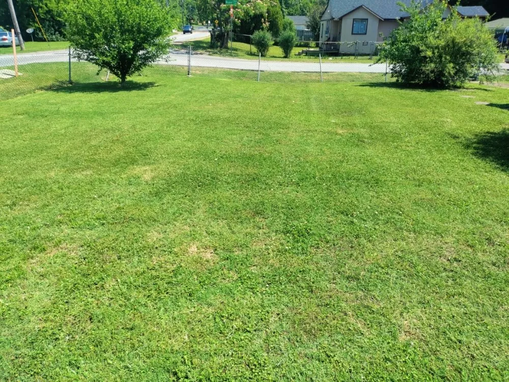 Professional yard cleanup service in Ringgold, GA - Mike's Lawn Care & Maintenance